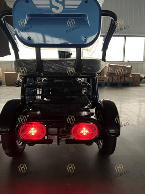 75.000 kg Einzelbruttogewicht 2024 Erwachsener Ladung Elektro Dreirad Motorrad Dreirad Elektro Dreirad Dreirad