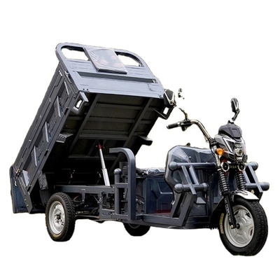 60V100Ah Lithium-Ionen-Batterie Multifunktions-Elektro-Frachtdreirad für Erwachsene 801-1000W