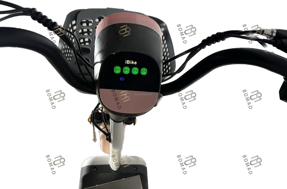 Beispiel Elektro-Stadtfahrrad Fahrrad Elektro-Scooter-Fahrrad mit niedrigstem und Stahlrahmenmaterial