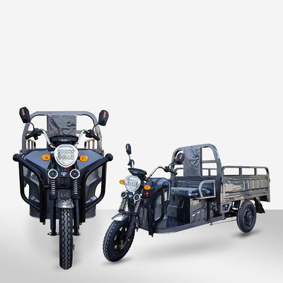 2 Fahrgast-Elektro-Frachtdreiräder mit 60V 1000W Gleichstrommotor und Leistung