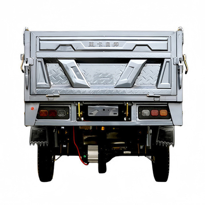 2 Fahrgast-Elektro-Frachtdreiräder mit 60V 1000W Gleichstrommotor und Leistung