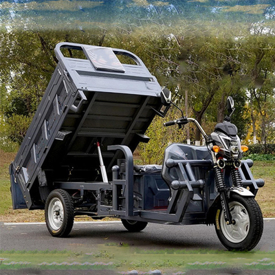 801-1000W Dreirad-Elektro-Drei-Rad-Elektro-Scooter für Erwachsene, gesteuert mit einem Steuergerät für alle Rohrtypen