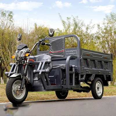 801-1000W Dreirad-Elektro-Drei-Rad-Elektro-Scooter für Erwachsene, gesteuert mit einem Steuergerät für alle Rohrtypen
