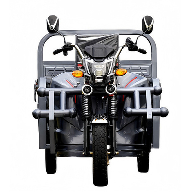 801-1000W Dreirad-Elektro-Drei-Rad-Elektro-Scooter für Erwachsene, gesteuert mit einem Steuergerät für alle Rohrtypen