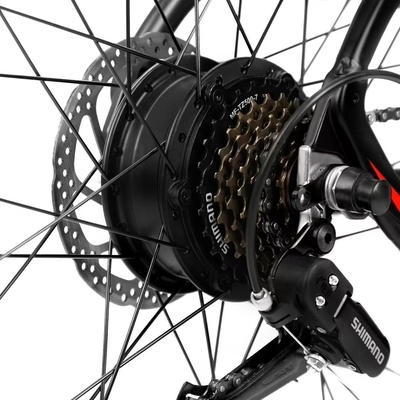 City Leisure Walker Stahlrahmen Elektro-Selbstfahrer 1000w Mountainbike mit Hinterhub Motor in Produktion