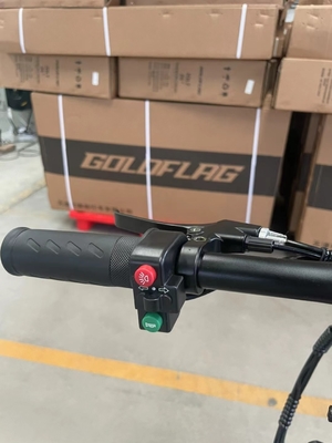 Zwei-Rad-Klappe-Elektro-Fahrrad mit Pedal und elektrischem Licht Reichweite pro Leistung 60 km Ladezeit 3 Stunden