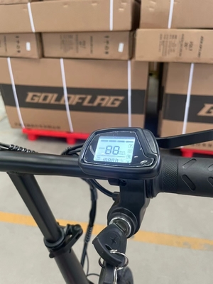 Zwei-Rad-Klappe-Elektro-Fahrrad mit Pedal und elektrischem Licht Reichweite pro Leistung 60 km Ladezeit 3 Stunden