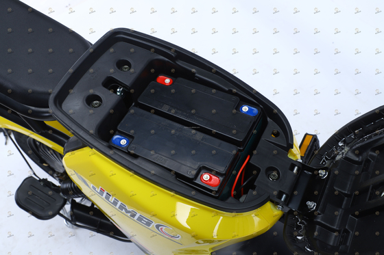 Elektro-Stadtfahrrad Fahrrad Elektro-Scooter Fahrrad mit Bremsleitung und Blei-Säure-Batterie zu erschwinglichen Preisen