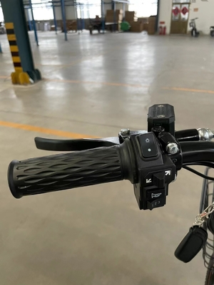 Stahlrahmen 18 Geschwindigkeiten Elektrisch Automatisches Fahren 48 V Erwachsener Freizeit Fahrrad Zwei-Rad-Elektromotor