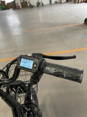 Stahlrahmen 18 Geschwindigkeiten Elektrisch Automatisches Fahren 48 V Erwachsener Freizeit Fahrrad Zwei-Rad-Elektromotor