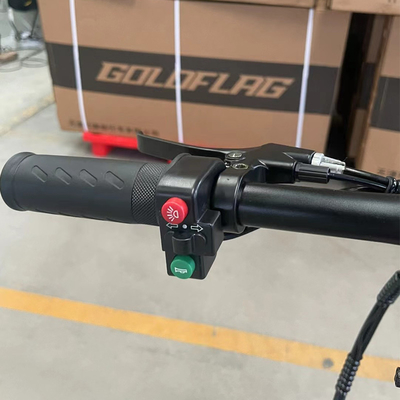 14-Zoll-Elektrofahrrad mit Klappdesign Hinterrad Scheibenbremse 20 * 2,8 &quot;Reifenbreite Gerade Haare Design Klappbar