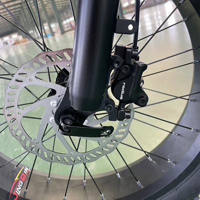 Integrierte Batterie Berg Elektro-Selbstfahrt 15A Elektromotor Schnee Rad 750W Mountain Off-Road Bike