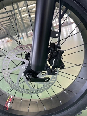 Elektrofahrrad mit 18 Schnellgetrieben und 50-60 Nm Drehmoment