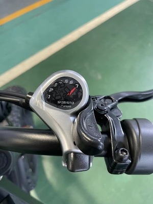Elektrofahrrad mit 18 Schnellgetrieben und 50-60 Nm Drehmoment