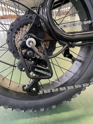 Elektrofahrrad mit 18 Schnellgetrieben und 50-60 Nm Drehmoment