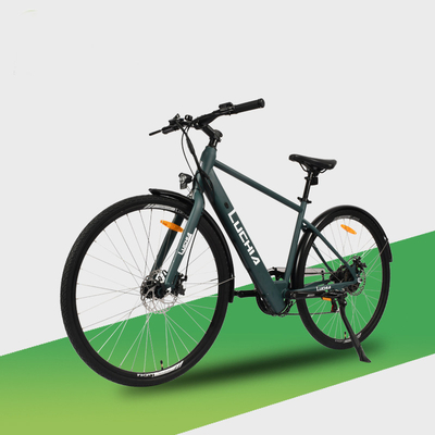Kraftvolles Elektro-Stadtfahrrad mit 350w Motor und 48v 15ah Batterie