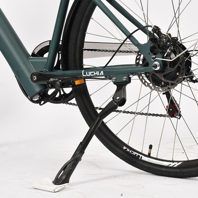 Kraftvolles Elektro-Stadtfahrrad mit 350w Motor und 48v 15ah Batterie