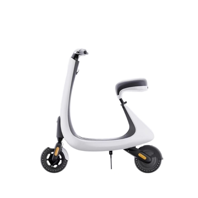 Kleiner elektrischer Roller mit Hinterhub-Motor und Leidsäure-Batterie-Stromversorgung