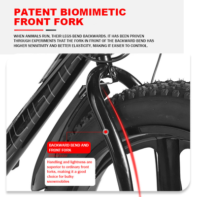 2024 Mountainbike Big Tire Elektrofahrrad mit 11 Ah Batteriekapazität und Rückradscheibenbremse