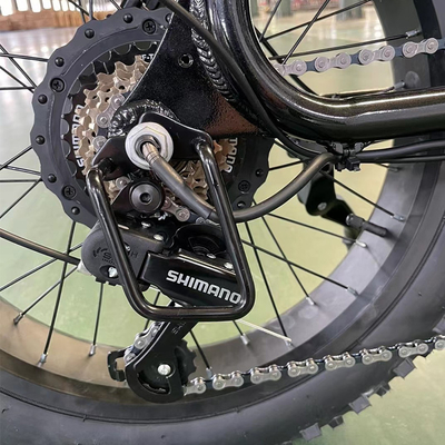 Elektrofahrrad mit Hinterradmotor und 18-Gang-Lithiumbatterie
