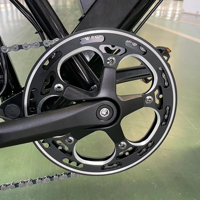 Leistungsstarke 18-Geschwindigkeits-Praktik 500w Fettreifen Elektrofahrrad