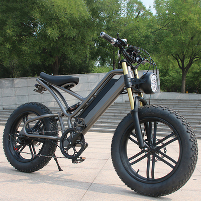 Leistungsstarke 250w Elektrofahrräder Erwachsene Bergbike Elektrofahrräder mit Rückradscheibenbremse