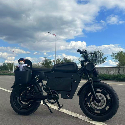 20 &quot;Rad Elektrobike Roller mit 1000KW Leistung Langlebige Lithium-Batterie