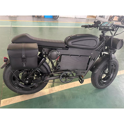 20 &quot;Rad Elektrobike Roller mit 1000KW Leistung Langlebige Lithium-Batterie