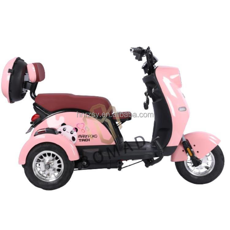 2024 Hotsale Elektro Dreirad Motorrad Dreirad Elektro Dreirad 3 Rad Einzel Bruttogewicht 75.000 kg 501 800W