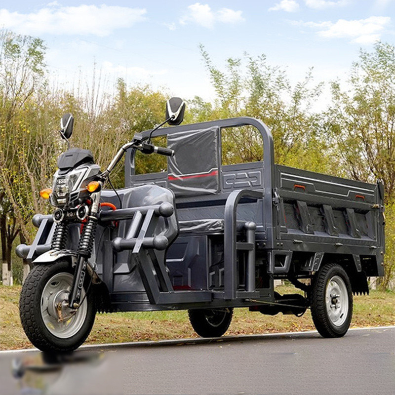 2 Fahrgast-Elektro-Frachtdreiräder mit 60V 1000W Gleichstrommotor und Leistung