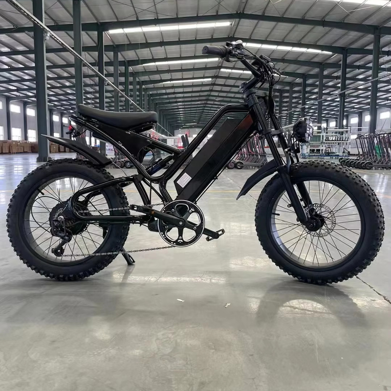 Freizeitsportfahrräder 2024 48V Mountain Off-Road Elektrofahrräder mit und Ladezeit 3 Stunden