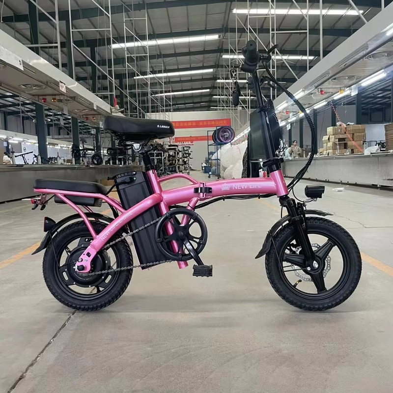 Zwei-Rad-Klappe-Elektro-Fahrrad mit Pedal und elektrischem Licht Reichweite pro Leistung 60 km Ladezeit 3 Stunden