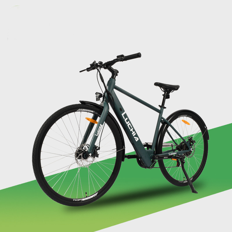 250w 36v 14 Inch 16 Inch Elektro-Stadtrad Klapp-Elektro-Bike mit Aluminium-Legierungsrahmen