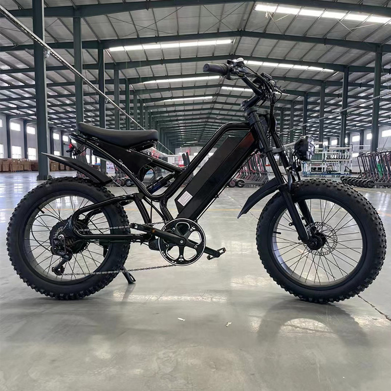 14 Zoll 2024 Elektro Mountainbike Fahrrad 48v 500w Batteriekapazität 15.6Ah mit leistungsstarker Scheibenbremse und Hinterrad