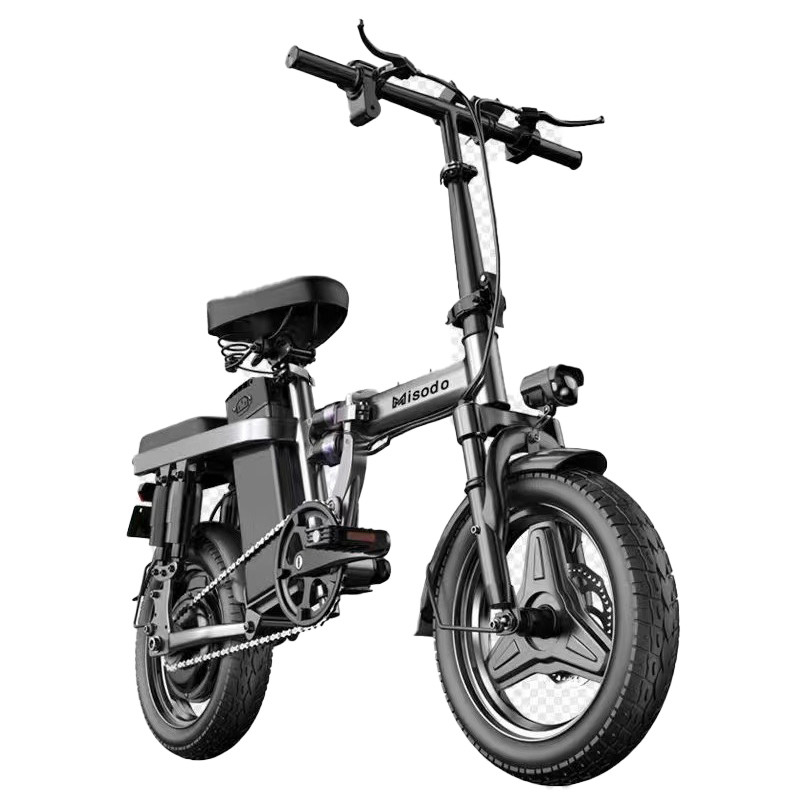 Outdoor-E-Bike 20 Zoll Klapp-Elektrofahrrad 48v 250w 25km/h Elektrofahrrad mit Hinterradmotor